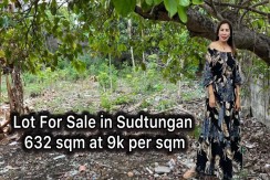 Residential Lot For Sale in Sudtunggan Lapu Lapu City Cebu